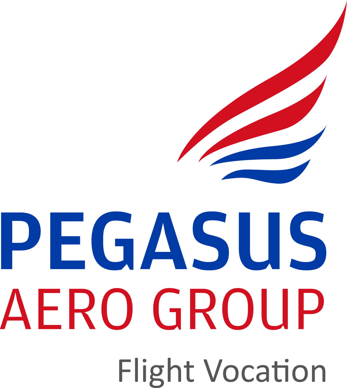 Pegasus Aero Group